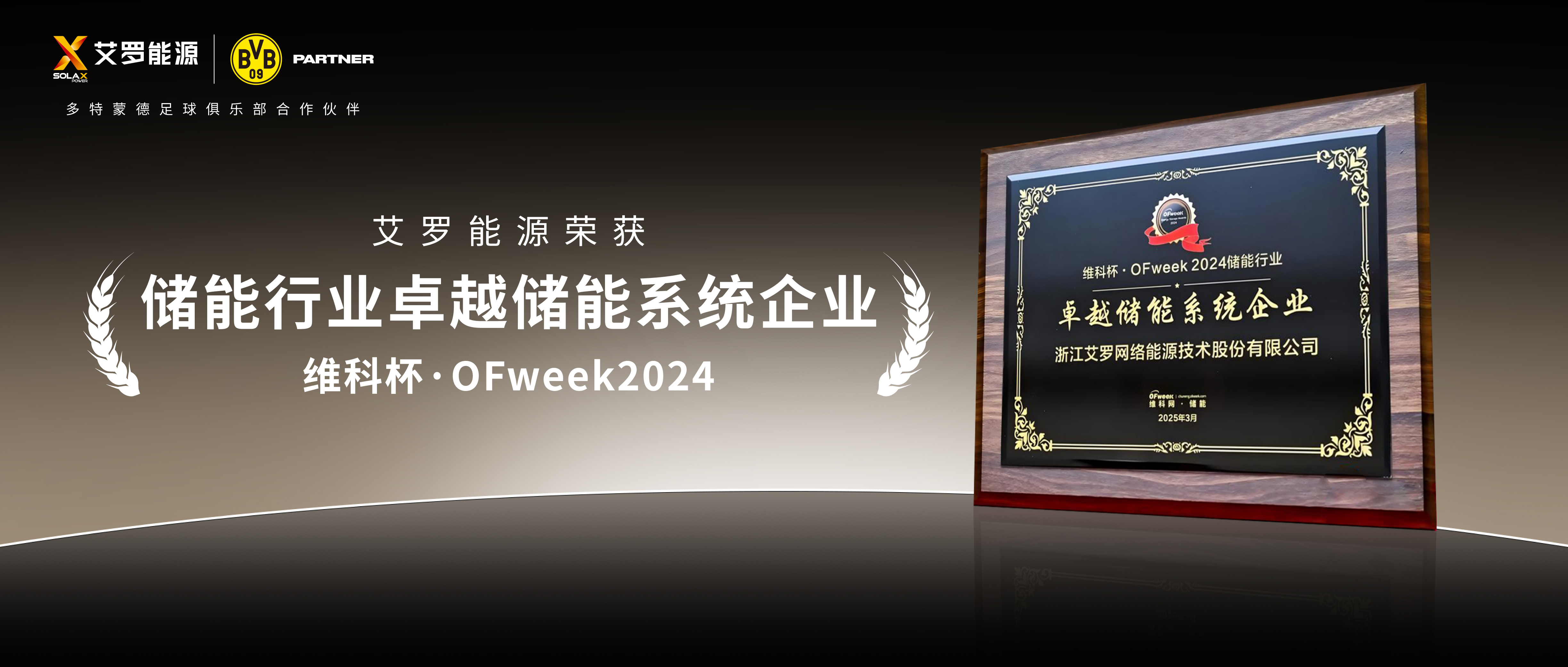 实力见证！WM真人WM视讯能源荣膺“2024维科杯·卓越储能系统企业”殊荣！